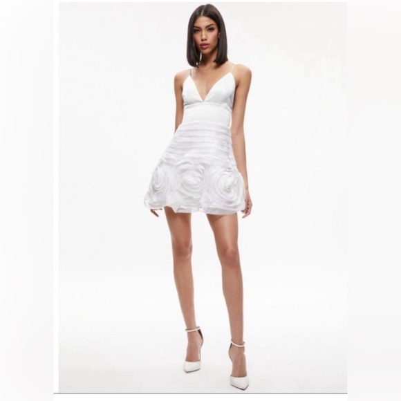 NWT ALICE + OLIVIAKemberly Spaghetti Strap Mini Gown